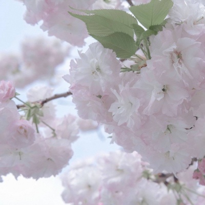 兽设故事创作思路兽圈群